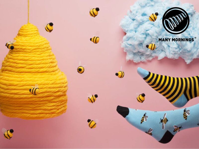 Introbild zu Artikel MANY MORNINGS - Bunte Socken 