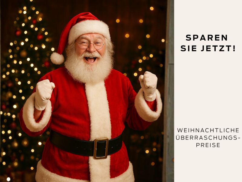 Introbild zu Artikel Weihnachtliche Überraschungspreise 