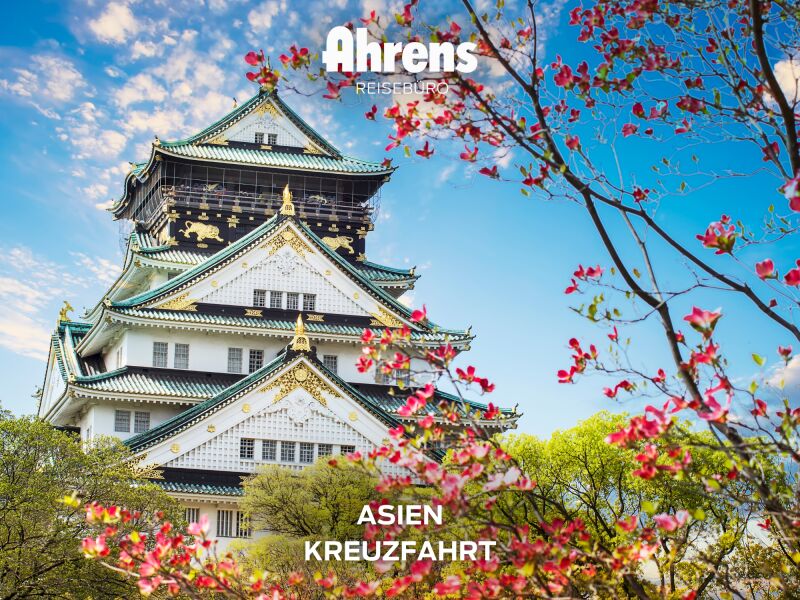 Introbild zu Artikel Auf großer Fahrt